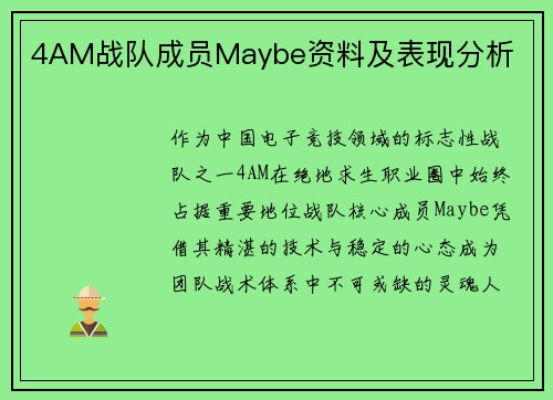 4AM战队成员Maybe资料及表现分析