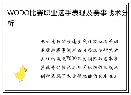 WODO比赛职业选手表现及赛事战术分析